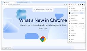 Google Chrome Portable Download
