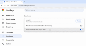 Google Chrome Download