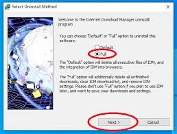 Internet Download Manager Free Download
